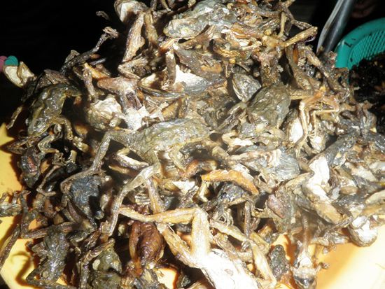 Frog fritti
