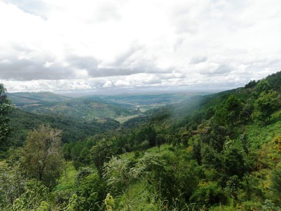 Hochland