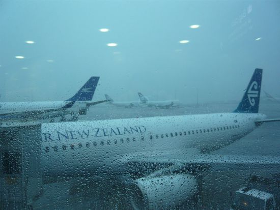 Eigentlich wollten wir ja keinen Regen in Auckland