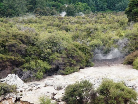 Rotorua