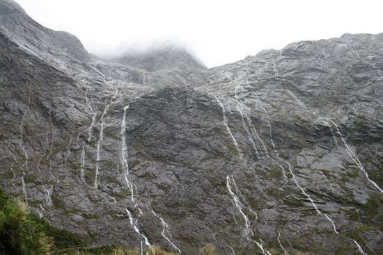 Anfahrt zu den Milford Sound`s