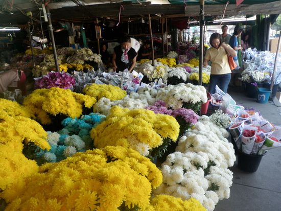Alles frische Blumen