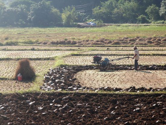 Auf der Fahrt von Mae Hong Song nach Mae Sariang