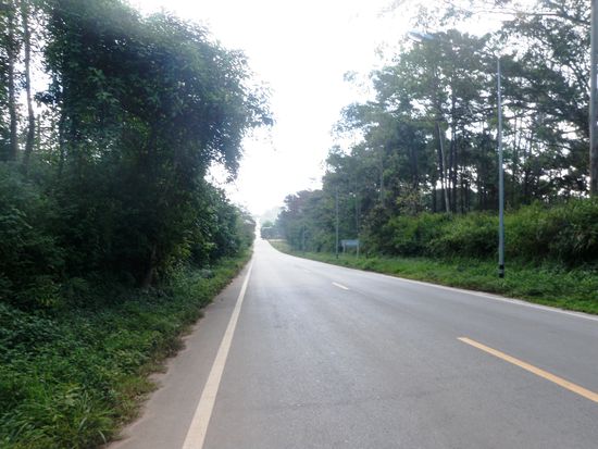 Von Mae Sariang zum Doi Inthanion
