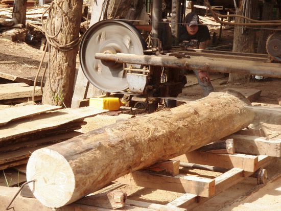 Sägewerk