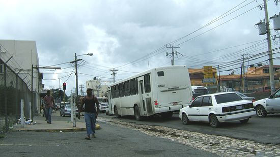 Zurück im quirligen Kingston