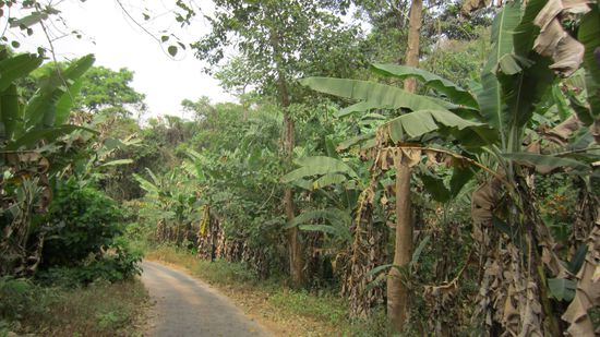 Ja, das ist der Weg zur Grenze!