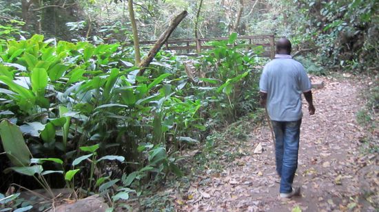 Im Vergleich zu gestern ein netter Spaziergang