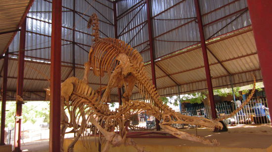 Nachbau von Dinosaurierskeletten