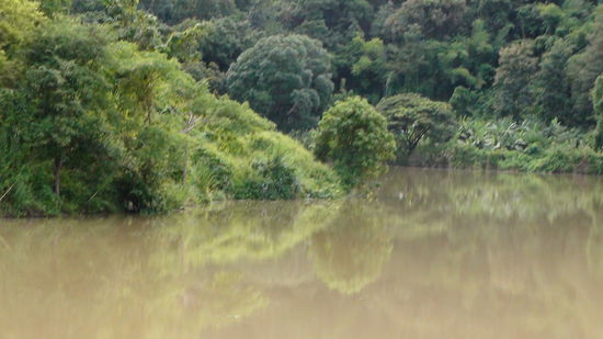 Unterwegs zu den Longnecks