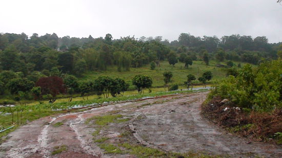 Die Strasse war nur ein ganz kleines Stueck (bei einer Umleitung) so schlecht.