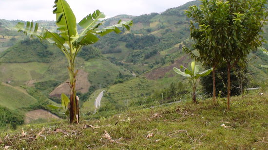 Auf dem Weg nach Mae Salong