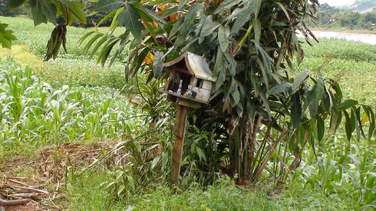 Geisterhaus am Mekong