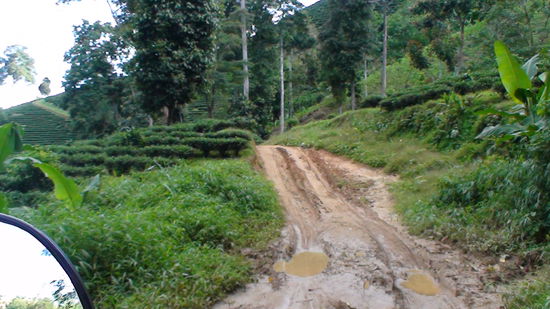 Am Morgen hat's geregnet