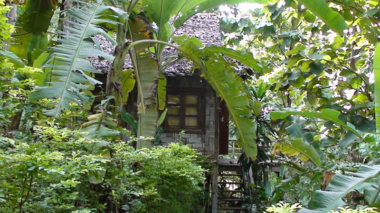 mitten im Wald, my home is my castle