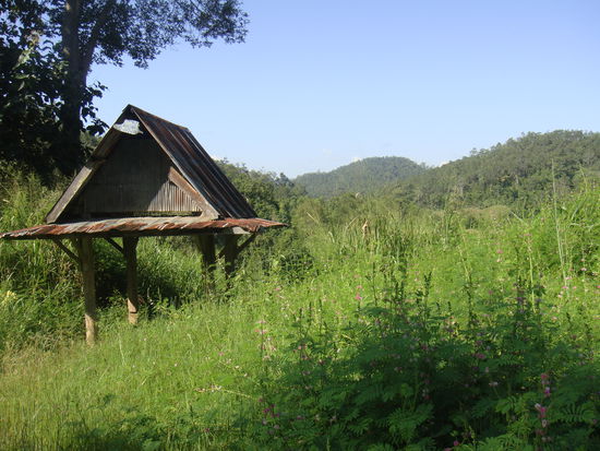 unterwegs, in der Naehe von Pai