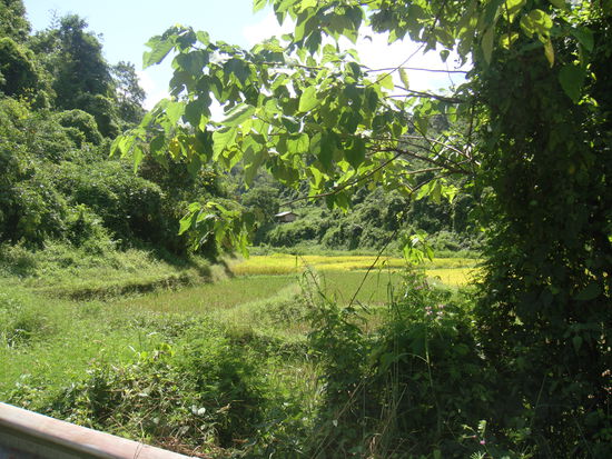In der Gegend von Kamphaeng Phet