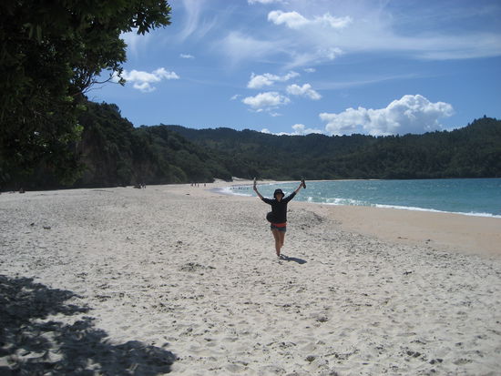 nser traumstrand in coromandel