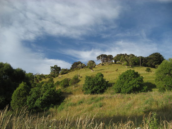 ...so wunderschoen...