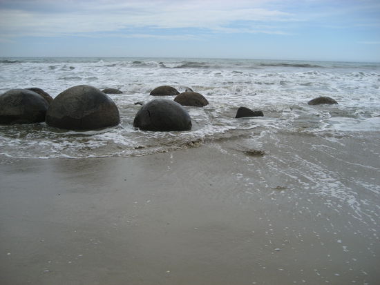 moeraki builders, steine die in millionen von jahren wie eine perle entstanden...