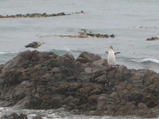 unser one night stand