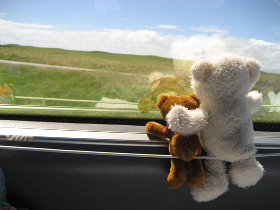 unsere zwei maenner im van verstehen sind schon sehr gut