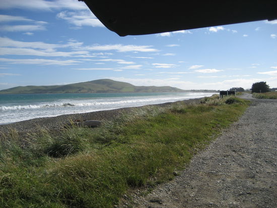 und mal wieder unser van blick )