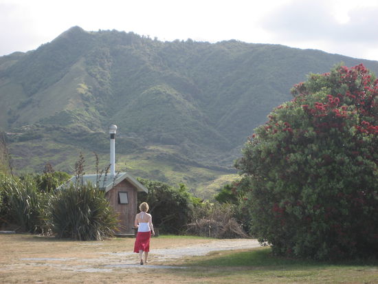 pina on the way to this cute toilet