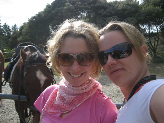 in hintergrund mein pferd,monty...