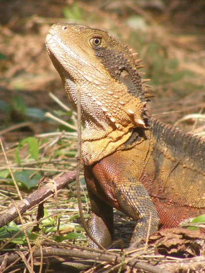 gaaaaanz unauffaellig