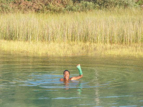 passt zumindest farblich...