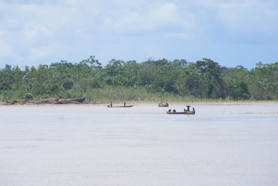 Blick auf den Rio Beni