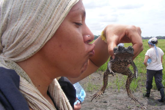 ich hab's versucht...