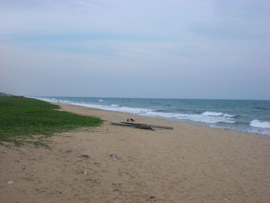 na? sieht doch schoen aus, oder?