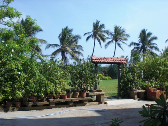 das war der garten im guesthouse