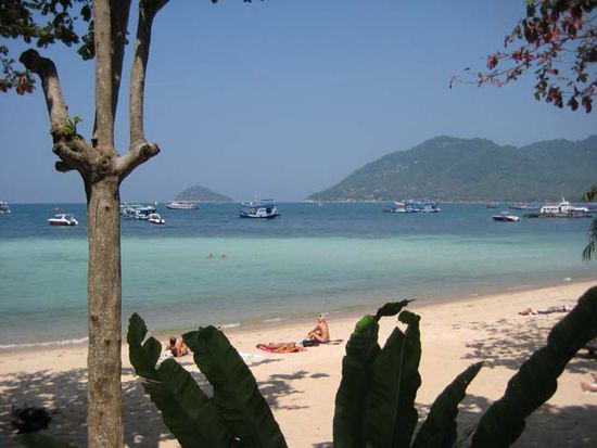 Blick auf den Strand vom Restaurant des "Koh Tao Royal Resort" in Koh Tao