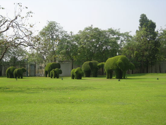 Sehen die nicht lieb aus? Donna aus Californien meinte: "Hey, looks like Disneyland!"