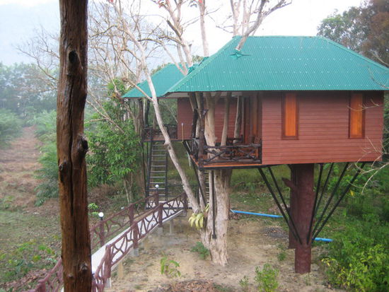 Fotografiert von unserem Treehouse aus (zu sehen: ein Single-Bungalow, wir hatten einen doppelten)