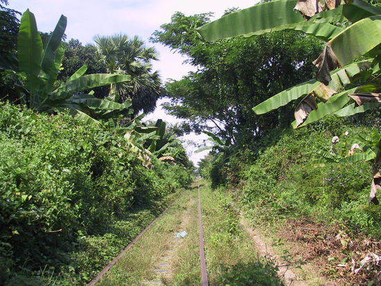 Etwa 40 Sachen sind das schon...