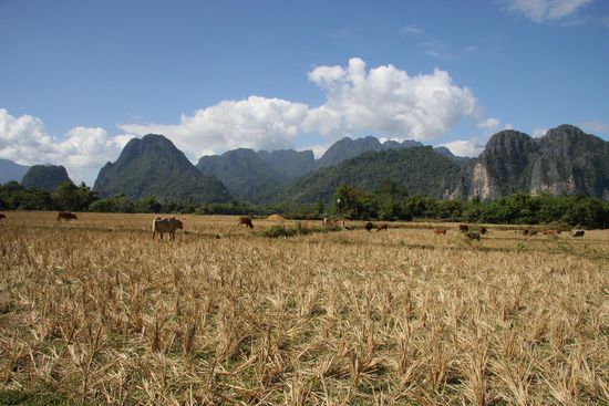 Wo bitte ist nun die Strasse?
