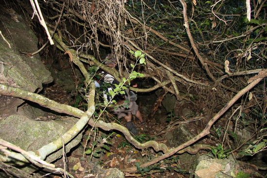 Aehh, wo bitte ist denn hier der Ausgang?