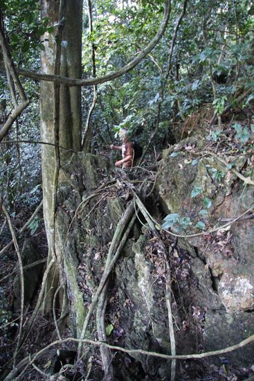 Ab und zu standen wir vor 10 m hohen Felsabgruenden.