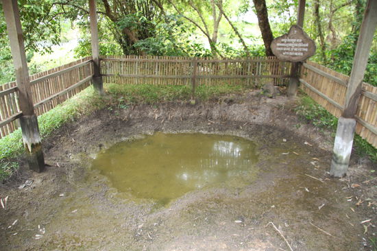 Massengrab: Um Munition zu sparen wurden die "Sterblichen" nicht erschossen, sondern mit Eisenstangen, Äxten oder ähnlichem erschlagen. Kinder wurden unter anderem gegen einen Baum geschlagen, bis sie tot waren. Anschliessend wurden die Toten in Massengräber geworfen.