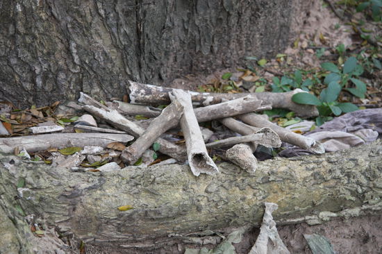 Traurig aber wahr... ueberall liegen menschliche Knochen herum.