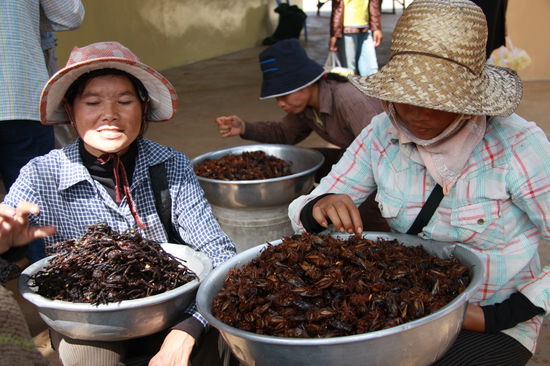 Vor der Toillete warteten diese zwei nette Damen um uns ihre leckereien zu verkaufen. Eine Portion gebratene Vogelspinnen oder Kakerlacken, very cheap.