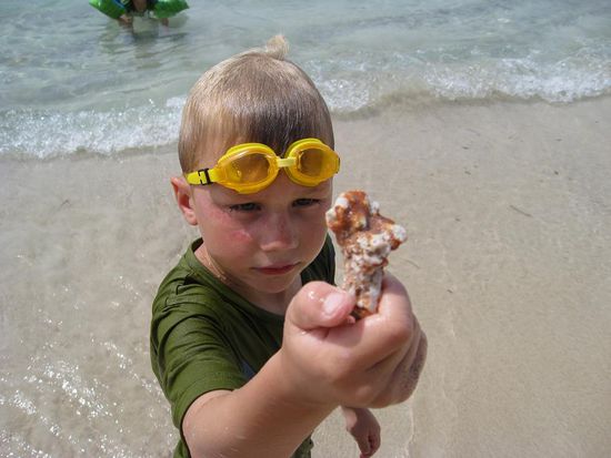 Liam sammelt Korallenreste.....