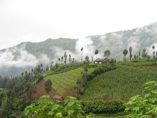 Landschaft bei Ngadisiri