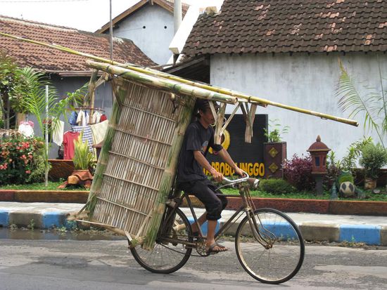 Transporteur in Probolinggo