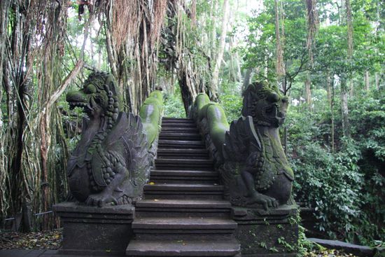Bruecke bzw. Weg durch einen Banyan Baum