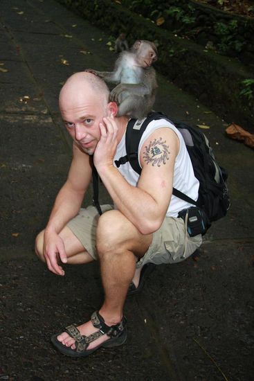 ich glaub mich laust der Affe.....